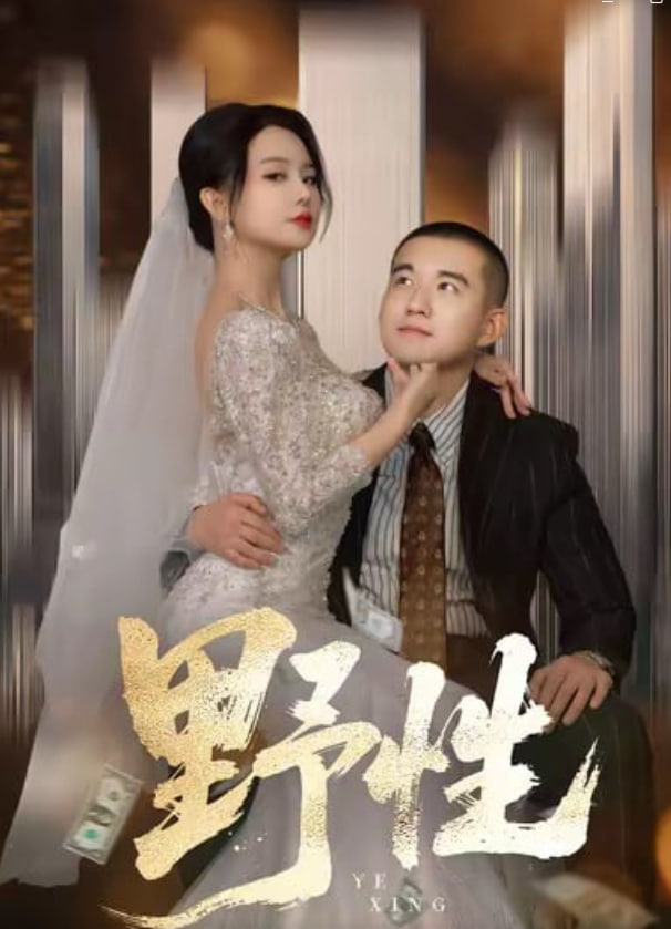 漫长的季节